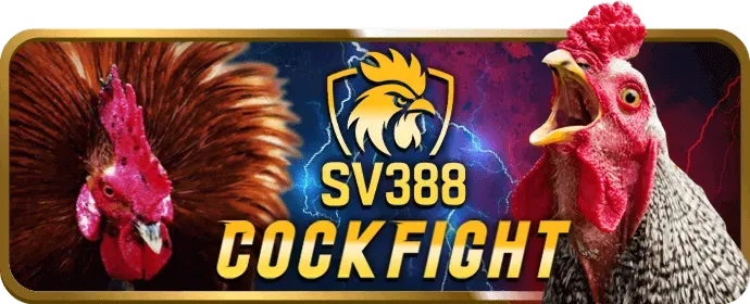 Freebet không cần nạp tiền